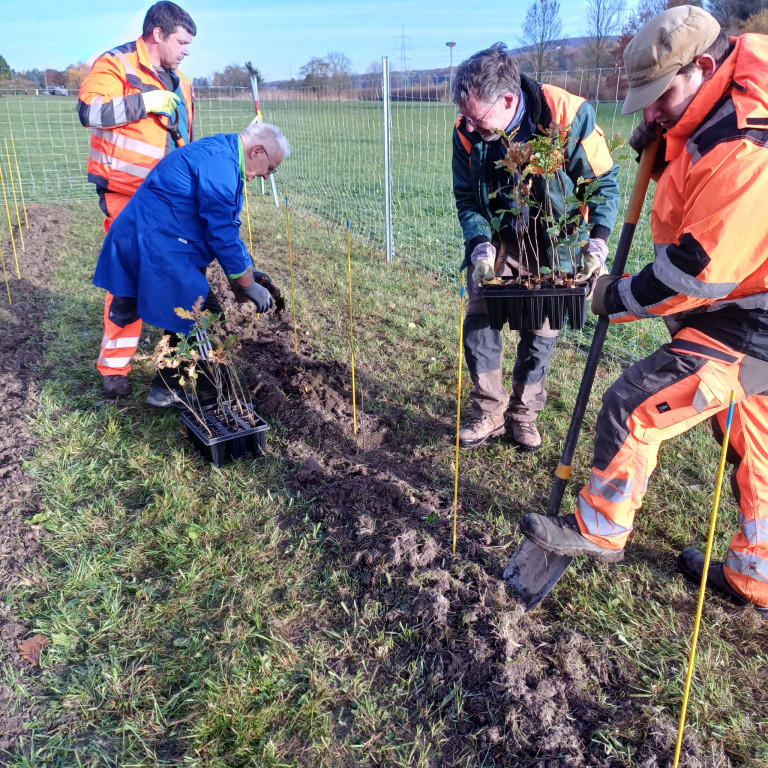 051125  Baumpflanaktion